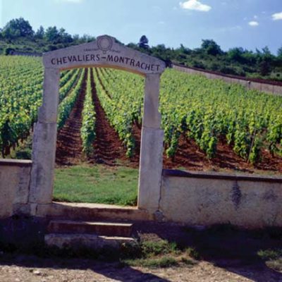 Côte de Beaune