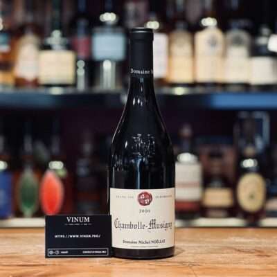VINUM - Domaine Michel Noëllat Chabolle-Musigny