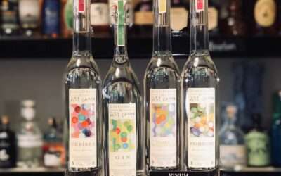 La Distillerie du Petit Grain : Un trésor d’authenticité et d’excellence