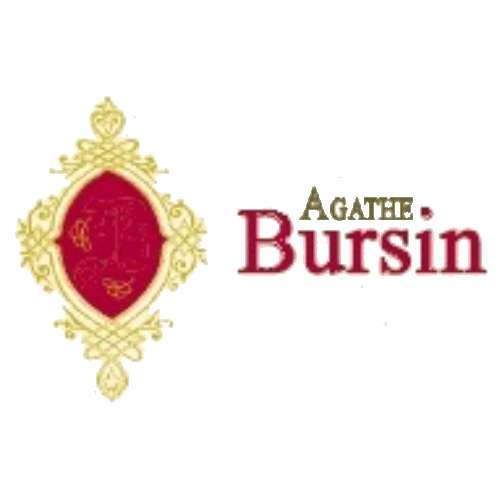 Bursin